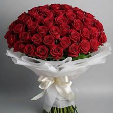Букет 101 Красная роза Блэк Мэджик в Кривошеино