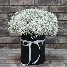 Цветочная композиция из Гипсофила в шляпной коробке в Кривошеино