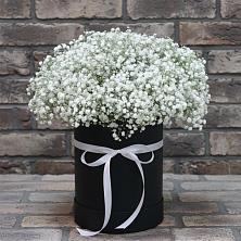 Цветочная композиция из Гипсофила в шляпной коробке в Кривошеино