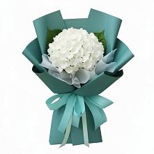 Букет цветов из:  Гортензия в Кривошеино